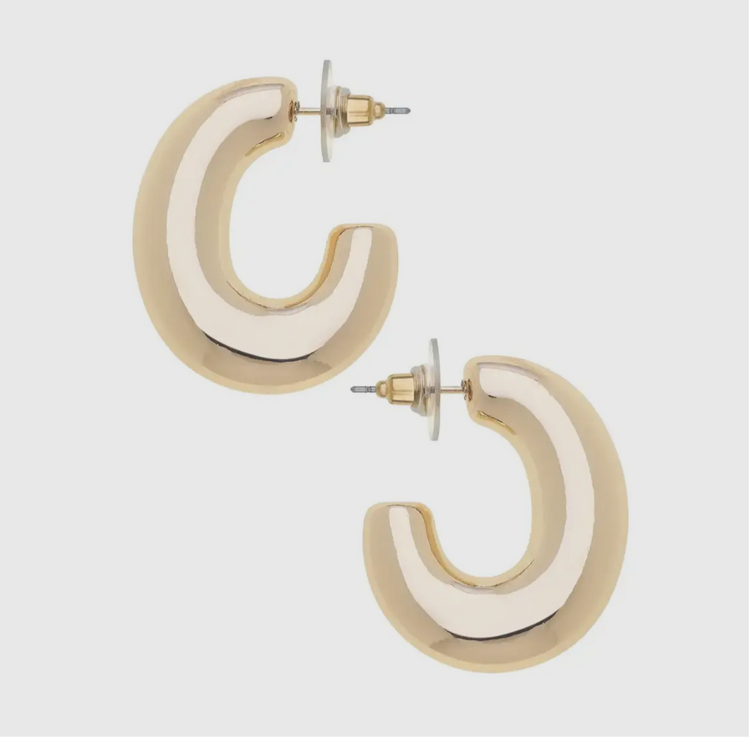 Gia Sculpted Earrings